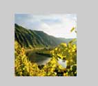 Calmont,steilster Weinberg Europas